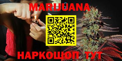 индика Шелехов