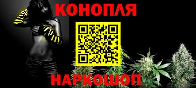 индика Шелехов
