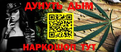 индика Шелехов