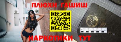 индика Шелехов
