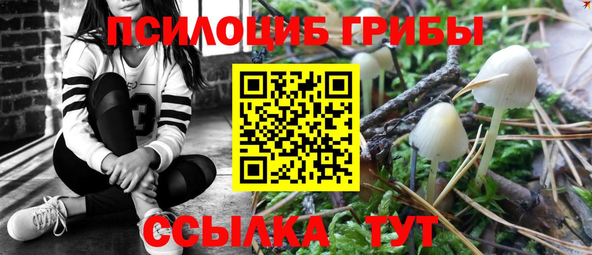 Бор  Галлюциногенные грибы GOLDEN TEACHER  Вход с VPN 